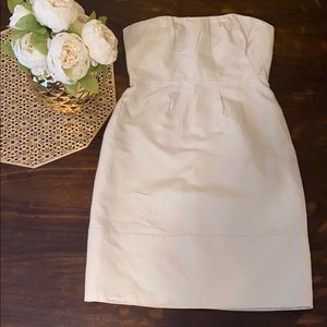 Strapless Taupe Dress